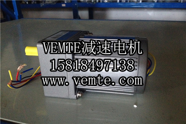 小電機(jī)，小型調(diào)速電機(jī),微型減速電機(jī) (2)