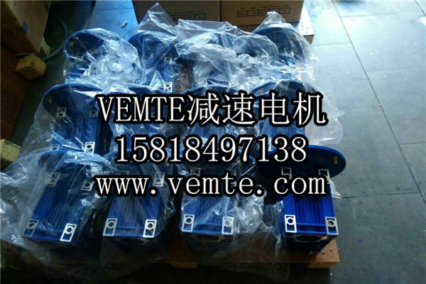 齒輪減速電機 (33) 齒輪減速電機 (33)