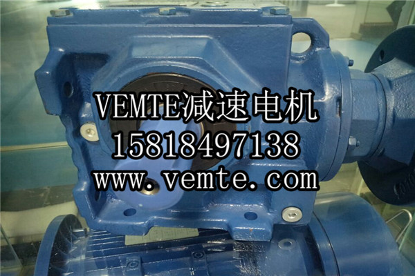 齒輪減速電機(jī) (21) 齒輪減速電機(jī) (21)