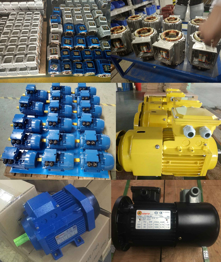 VEMT三相異步電動(dòng)機(jī) VEMT三相異步電動(dòng)機(jī)